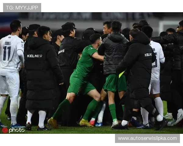 米特里策赛后道歉 足协或将追罚